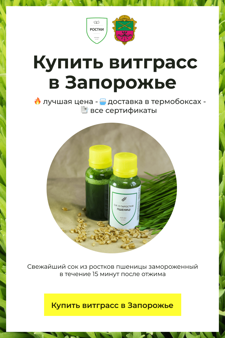 Витграсс, который можно купить в Запорожье. Разлит в бутылочки.