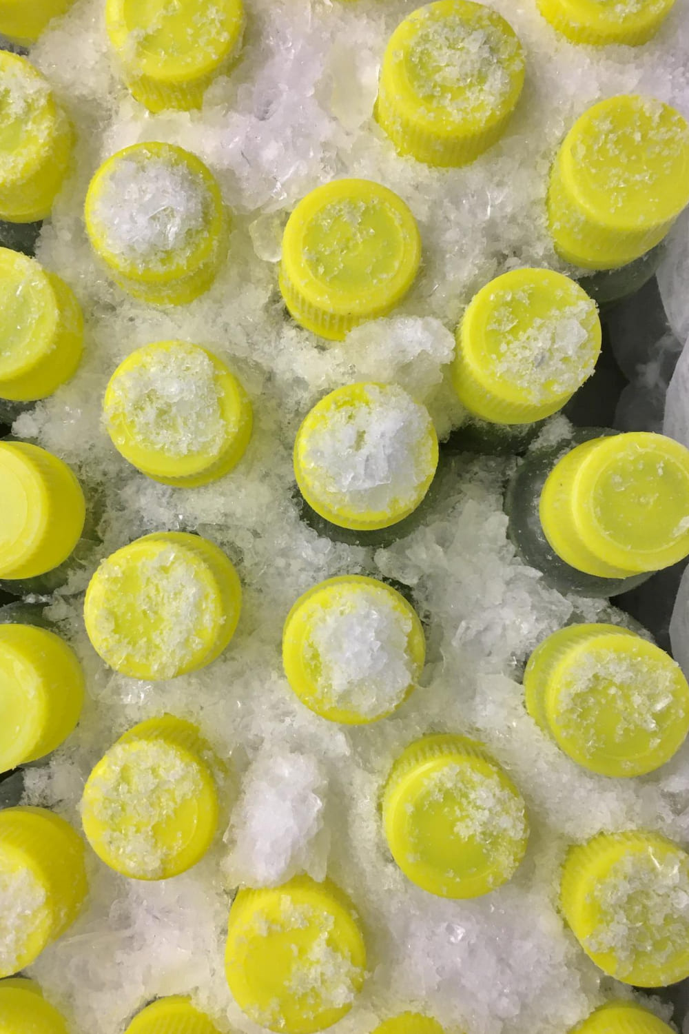 Бутылочки с витграсс закручены желтыми крышками и пересыпаны льдом.